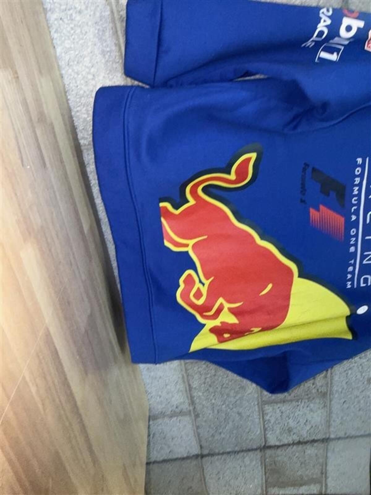 Red Bull Racing Formula 1 Team Blue Hoodie Sweatshirt