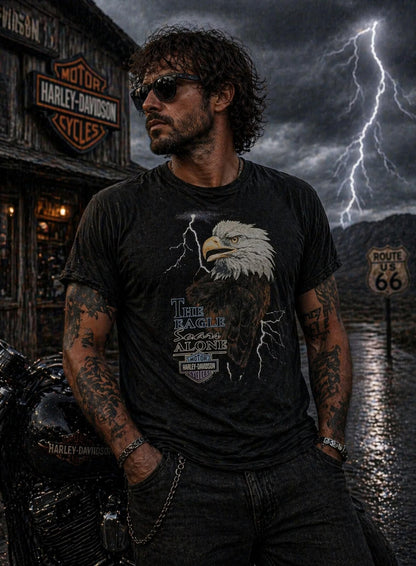 Vintage 1995 Harley Davidson Holoubek Eagle Soars T-Shirt L