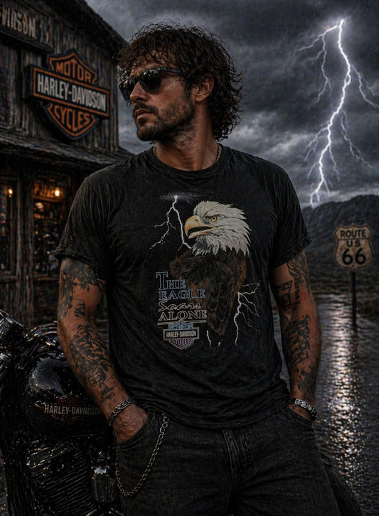 Vintage 1995 Harley Davidson Holoubek Eagle Soars T-Shirt L